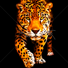 jaguar by Cédric Nouvel - Digital Art Things