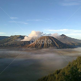 There is a little hope in Bromo by Dwi Ratna Miranti - Landscapes Mountains & Hills