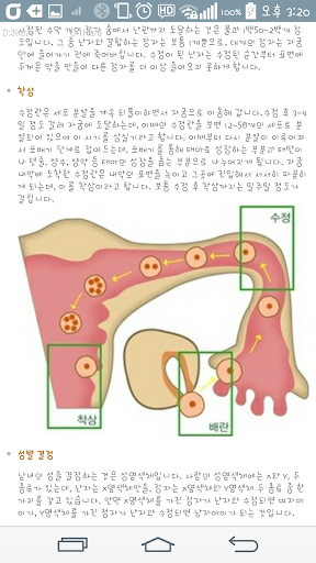 【免費生活App】임신주수계산(Pregnancy Calculator)-APP點子