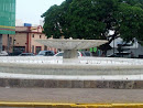 Fuente Av.México y Chapultepec 