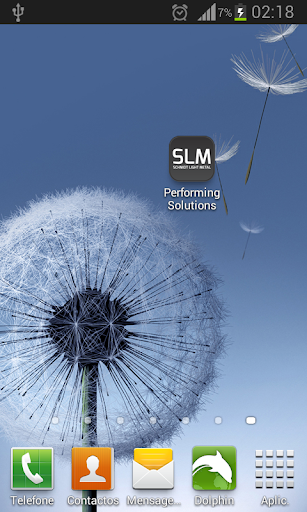 SLM - Performing Solutions