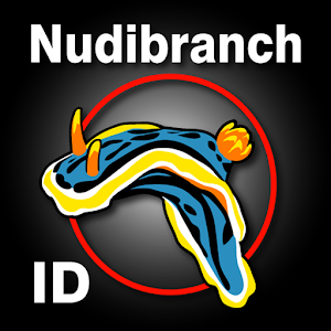 Nudibranch ID Indo Pacific logo