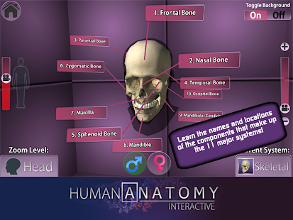 How to get Popar Human Anatomy Chart 1.6 mod apk for pc