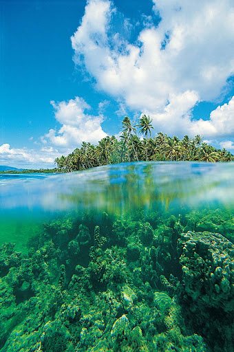 In Bora Bora, guests aboard the Paul Gauguin have access to an exclusive private beach on a motu off the coast of the island.