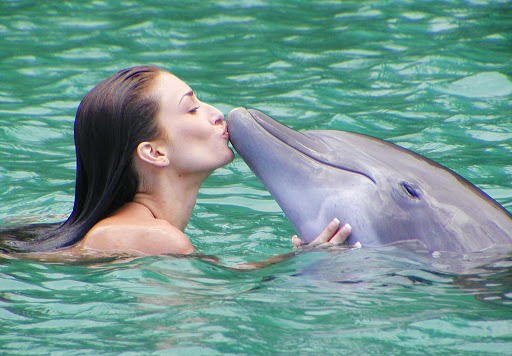 A tender moment at Dolphin Cove Jamaica: Swim and interact with dolphins, sharks and stingrays in their natural habitat at the island's top marine attraction. Dolphin Cove operates three facilities on the island, in Ocho Rios, Montego Bay and Lucea.