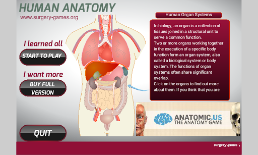 Human Anatomy