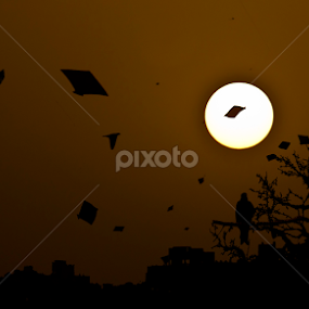 Festival by Tushar Bharwada - City,  Street & Park Skylines