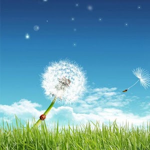 Galaxy S7 LWP FREE.apk 1.0.8