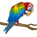 Pet Bird Pick logo