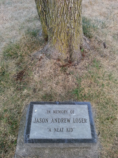 Jason's Memorial Tree