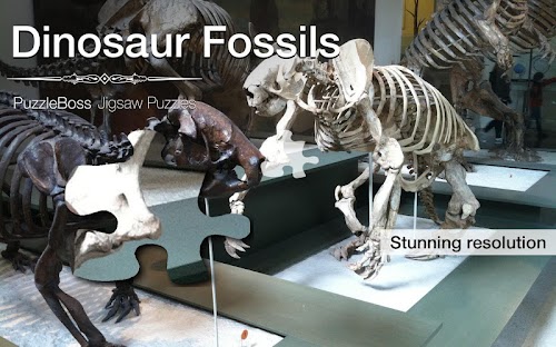 Android application Jigsaw Puzzles: Dino Fossils screenshort