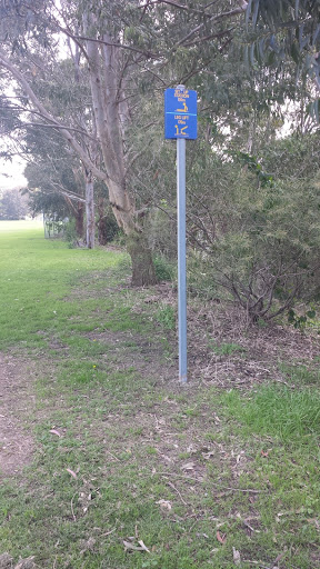 Kingsgrove Ave Reserve Sit Up Station