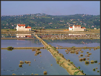 Završje