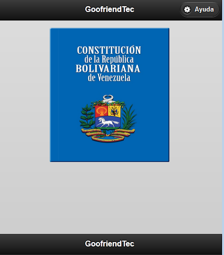Venezuelan constitution