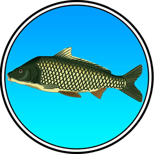 True Fishing (key) 模擬 App LOGO-APP開箱王