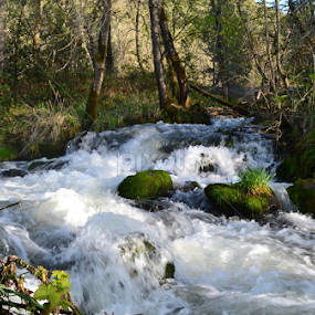 by Jolene Pierce - Landscapes Waterscapes