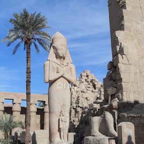 Luxor Temple by Chloe Holloway - Buildings & Architecture Statues & Monuments