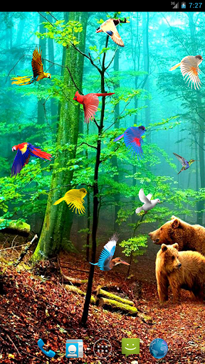 Forest Birds Live Wallpaper