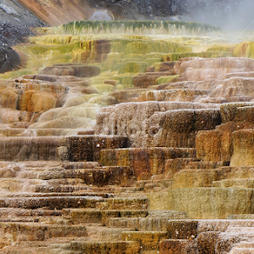 Yellowstone Hot Spring Terraces by Jim Czech - Nature Up Close Rock & Stone