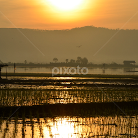 Shine by Kresna Wiwaha - Landscapes Sunsets & Sunrises