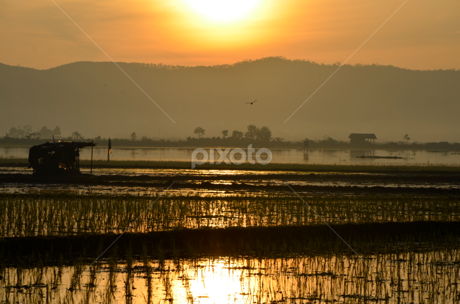 Shine by Kresna Wiwaha - Landscapes Sunsets & Sunrises