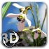Nature Liveâ Spring Flowers XL1.1 (Patched)