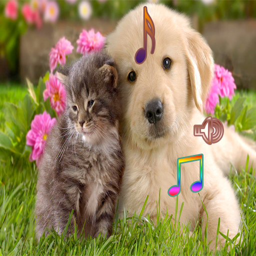 狗和猫唱歌 個人化 App LOGO-APP開箱王