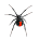 Arachnophobia Free LW icon