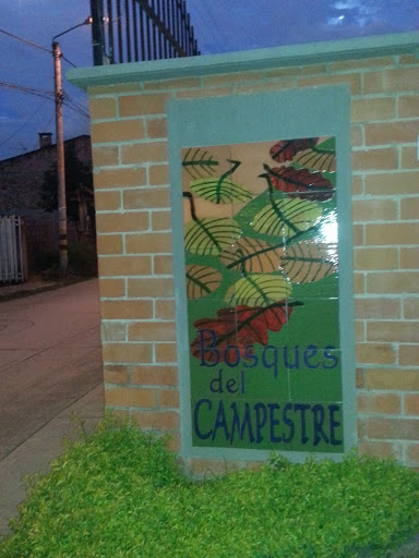 Mural Artístico Bosques Del Campestre