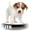 Animal Sounds for My Kid Lite icon