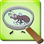 Best Magnifying Glass Apk