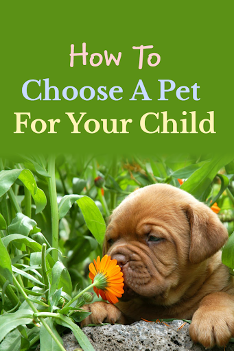 Choosing a Pet For Your Child