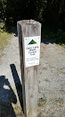 Deer Lake Park West Forest Trail