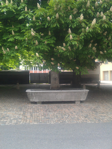 Fountain at Mühlegasse