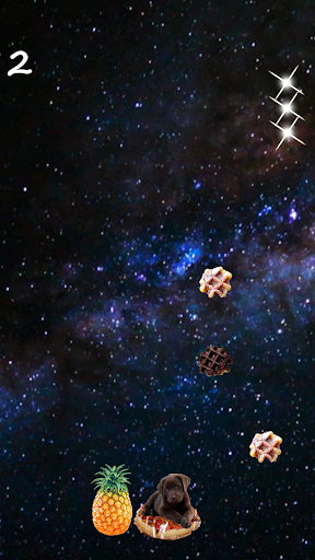 Galaxy Waffle Puppies