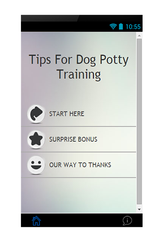 Tips For Dog Potty Training