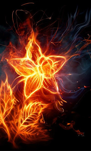 Fire Flowers HD wallpapers