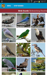 How to install African Birds Sounds lastet apk for android