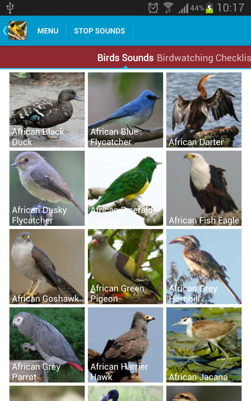 African Birds Sounds Screen 2