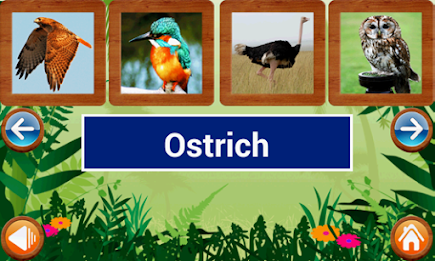 Animals and Birds by Intellisense poster 4