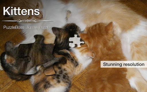 Kitten Jigsaw Puzzles Demo