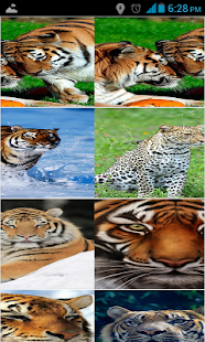 How to mod Tigers HD Wallpapers lastet apk for android