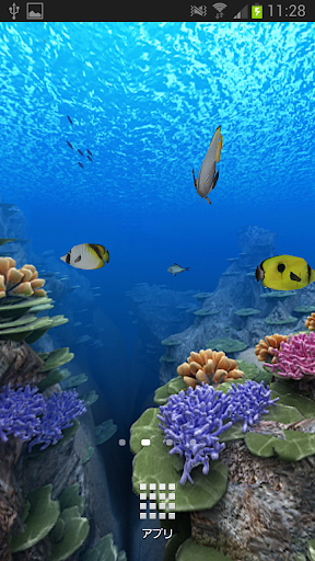 Coral Reef of Kerama HD