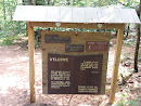 Webb Forest Trail Sign Display