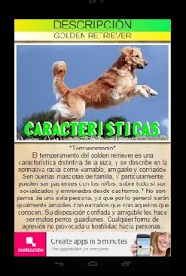 GOLDEN RETRIEVER Screenshots 7
