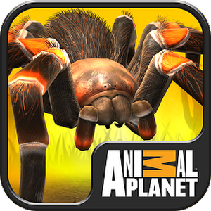 Real Scary Spiders v1.3.01 APK+DATA