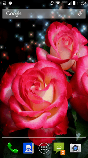 Pink Roses Live Wallpaper