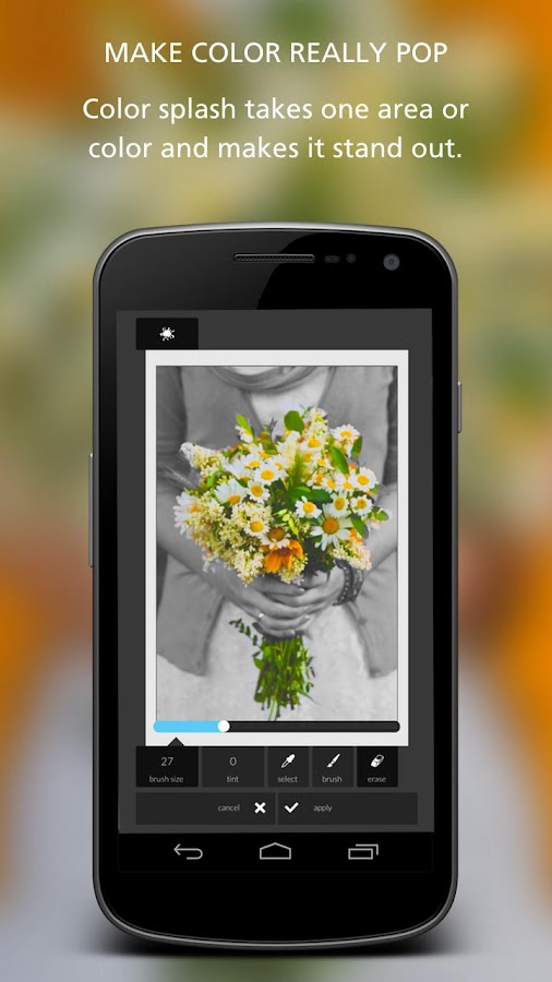 Pixlr Express - photo editing - screenshot