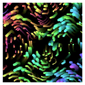 Color Worms Wallpaper logo