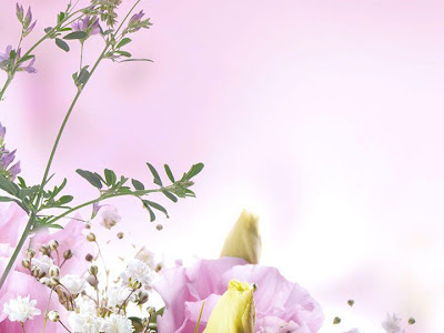 すべての美しい花の画像 Iphone 壁紙 花 柄 おしゃれ